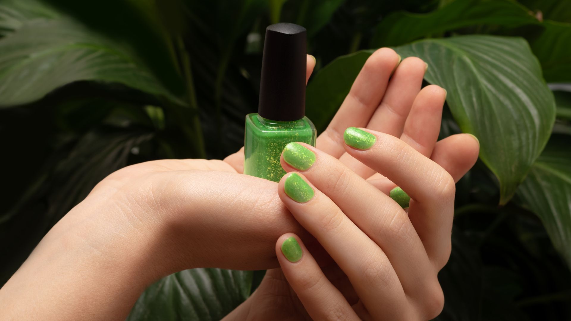 xr:d:DAFlk9LeOS8:21,j:5994684265057828759,t:23061203